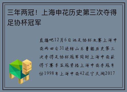 三年两冠！上海申花历史第三次夺得足协杯冠军